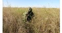 Маскировочный халат Taganrog Кикимора – купить по цене 3550 руб. в интернет-магазине в городе Ростов-на-Дону картинка 13